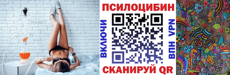 Псилоцибиновые грибы мицелий  Купить закладки  Домодедово 
